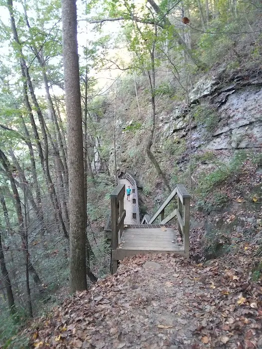 East Rim Campground Picture 9