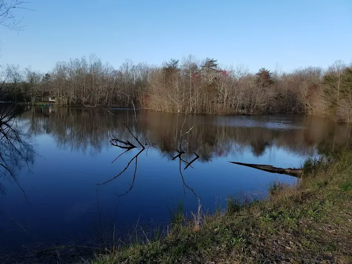 Johns Cabins Picture 6