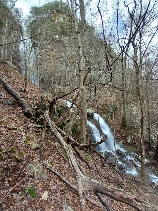 West Rim Campground Picture 8