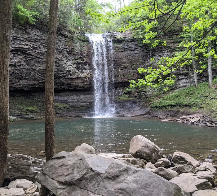 West Rim Campground Picture 6