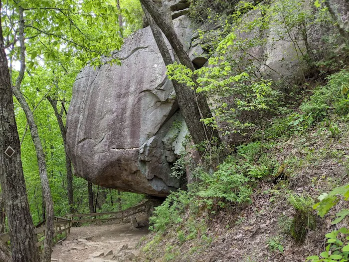 West Rim Campground Picture 4