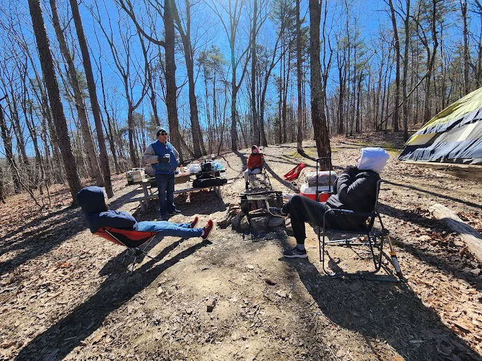 Cloudland Canyon Walk-In Campground Picture 6