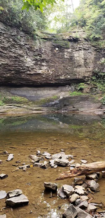 Cloudland Canyon Walk-In Campground Picture 8