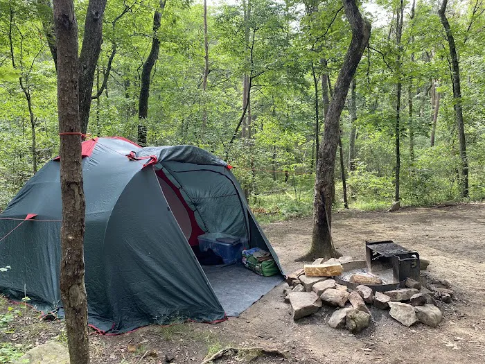 Cloudland Canyon Walk-In Campground Picture 2