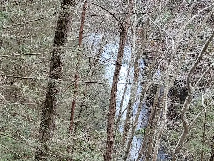 Cloudland Canyon Walk-In Campground Picture 9