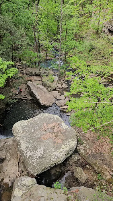 Cloudland Canyon Walk-In Campground Picture 10