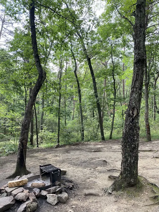 Cloudland Canyon Walk-In Campground Picture 4