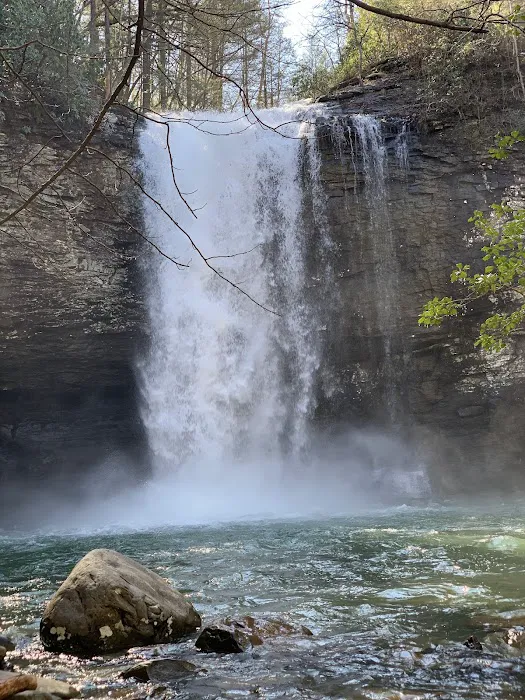 Cloudland Canyon State Park Yurt Village Picture 4