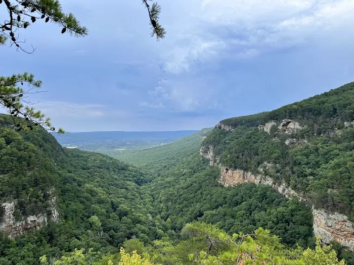 Cloudland Canyon State Park Yurt Village Picture 3
