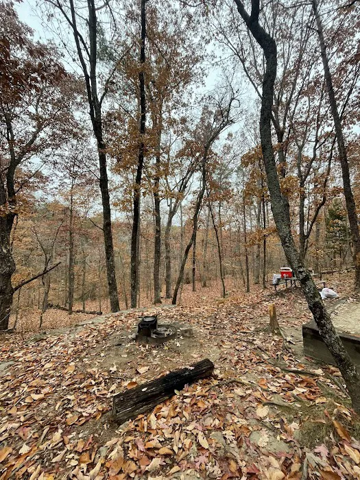 Cloudland Canyon Pioneer Campsites Picture 6