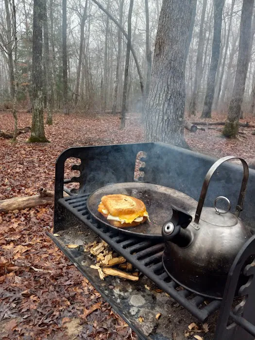 Cloudland Canyon Pioneer Campsites Picture 4