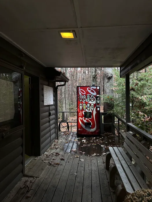 Cloudland Canyon Pioneer Campsites Picture 8