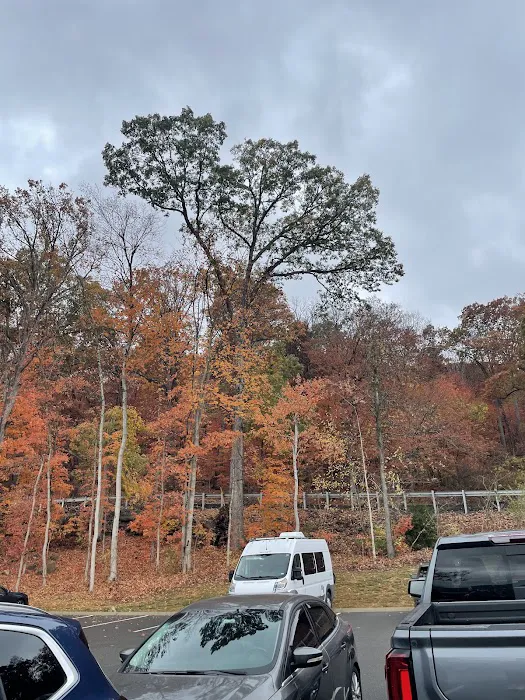 Cloudland Canyon Pioneer Campsites Picture 5