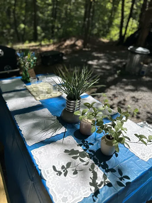 The Haven Bin Picture 5