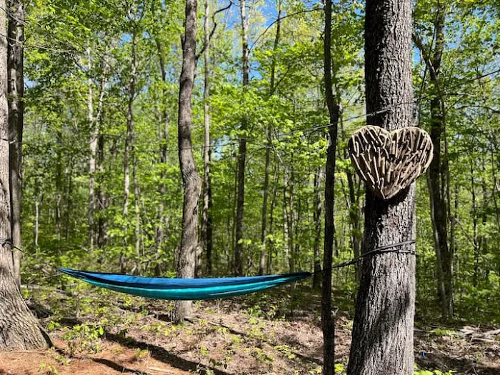 The Haven Bin Picture 6