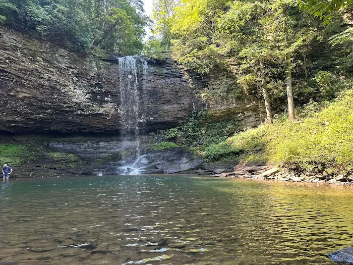 The Haven Bin Picture 8