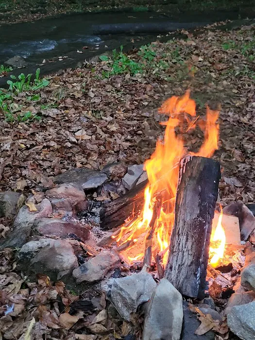 R Haven Overnight Family Park Picture 6