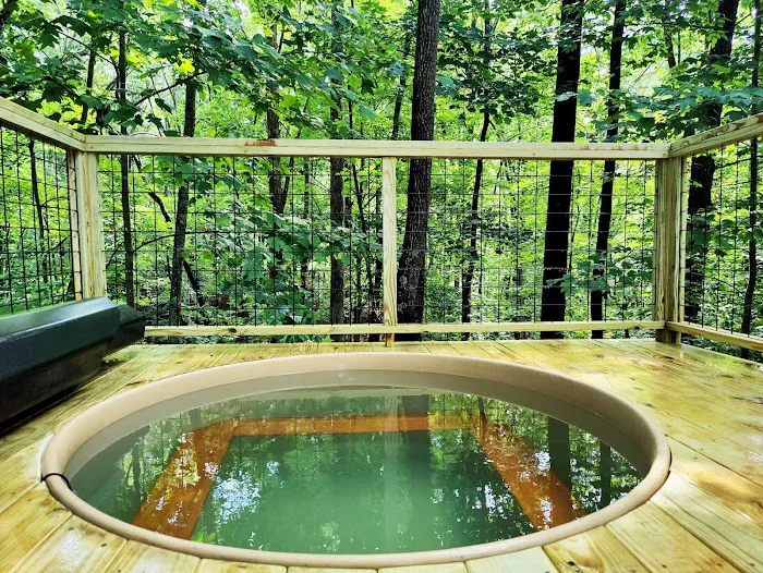 Terralodge Monteagle Treehouses Picture 6