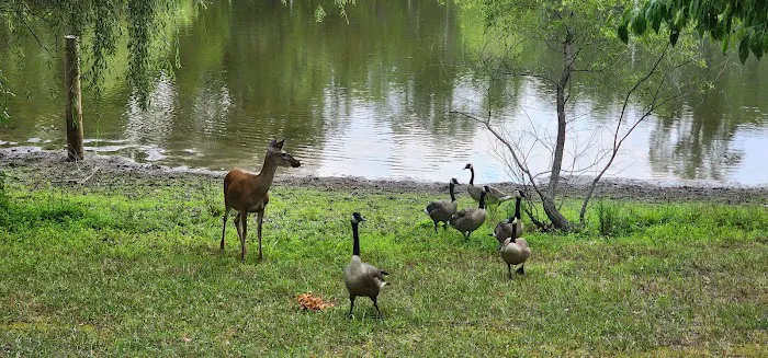 Caver's Paradise Picture 6