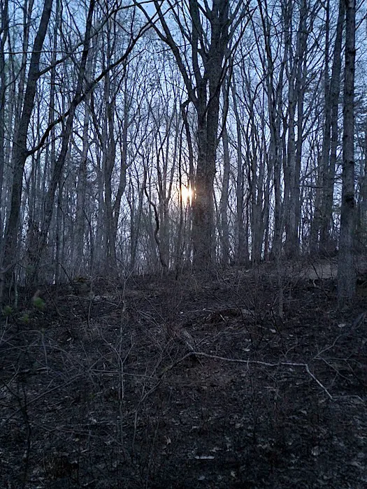 Sawmill Lake Campsite - Crockford Pigeon Mountain WMA Picture 3