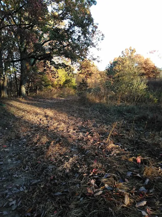 Sawmill Lake Campsite - Crockford Pigeon Mountain WMA Picture 4