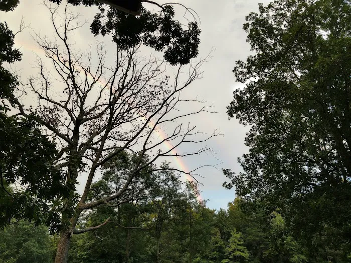 Sawmill Lake Campsite - Crockford Pigeon Mountain WMA Picture 5