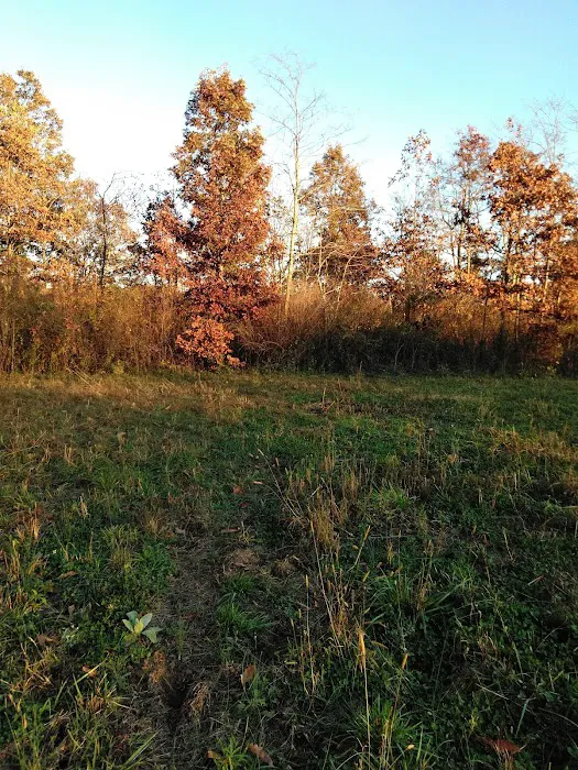 Sawmill Lake Campsite - Crockford Pigeon Mountain WMA Picture 6