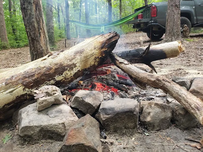 Sawmill Lake Campsite - Crockford Pigeon Mountain WMA Picture 10