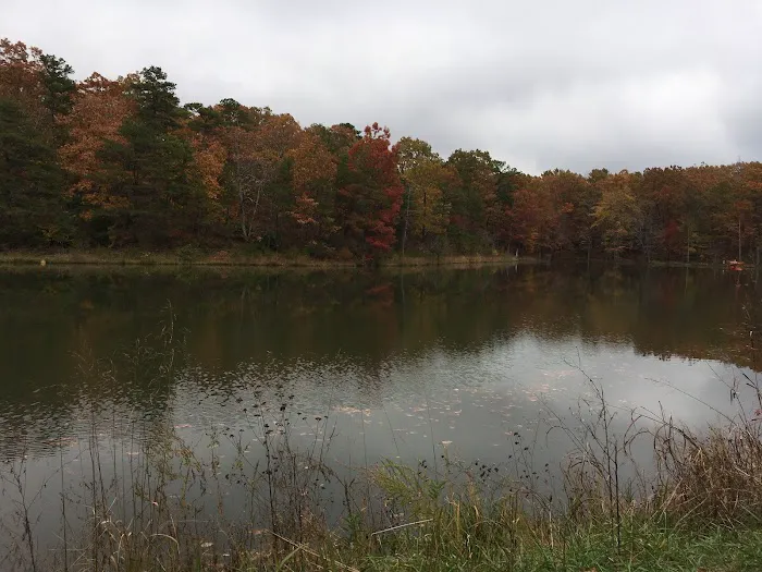 Sawmill Lake Campsite - Crockford Pigeon Mountain WMA Picture 8