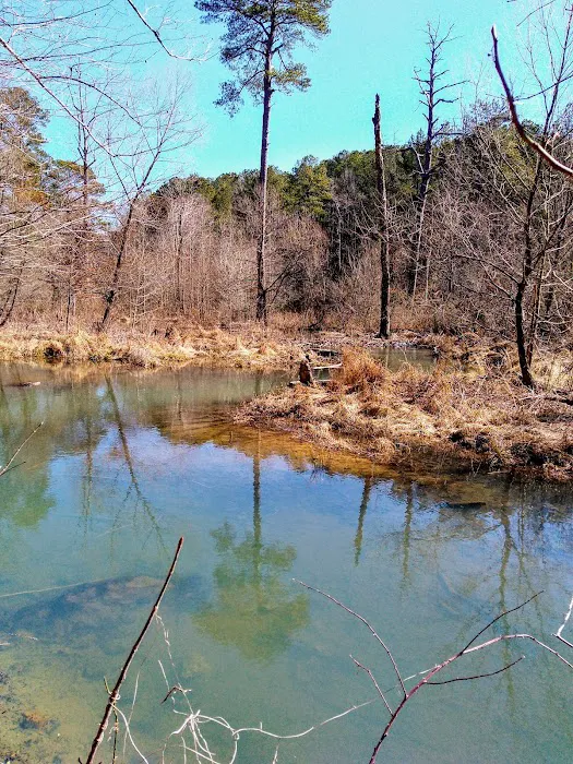 The Pocket Recreation Area Picture 1