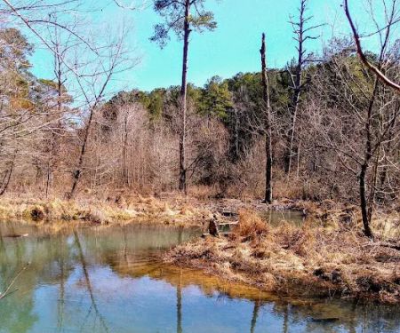 The Pocket Recreation Area