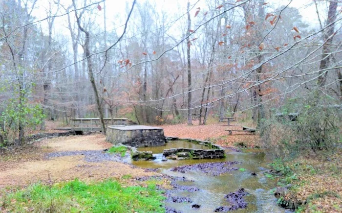 The Pocket Recreation Area Picture 3