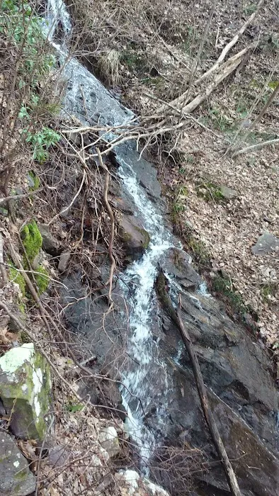 The Pocket Recreation Area Picture 4