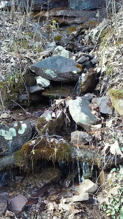 The Pocket Recreation Area Picture 5