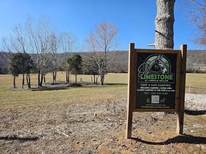 Ole Limestone - Camping Picture 7