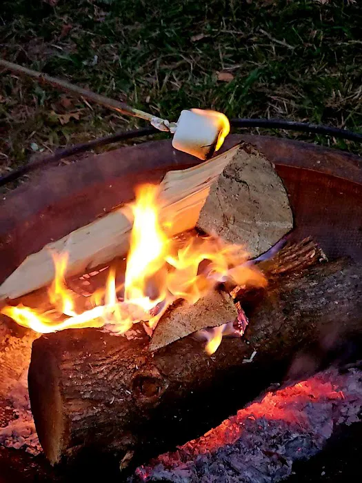 Ole Limestone - Camping Picture 8