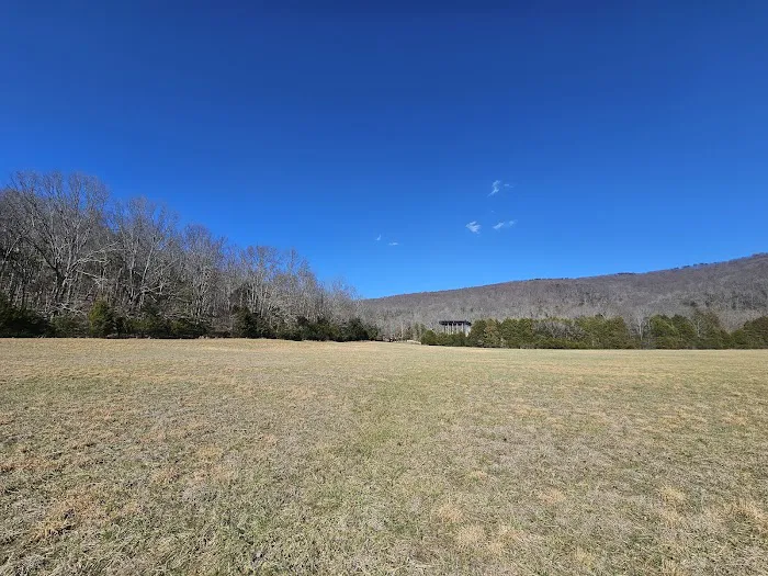Ole Limestone - Camping Picture 2