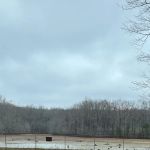 MontMilner Rainbow Camp