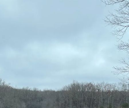 MontMilner Rainbow Camp