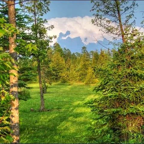 Mackinaw Mill Creek Camping Picture 5