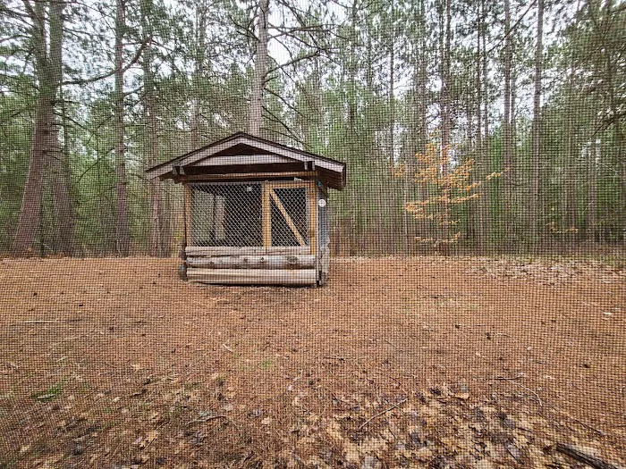 Nebo Cabin Picture 4