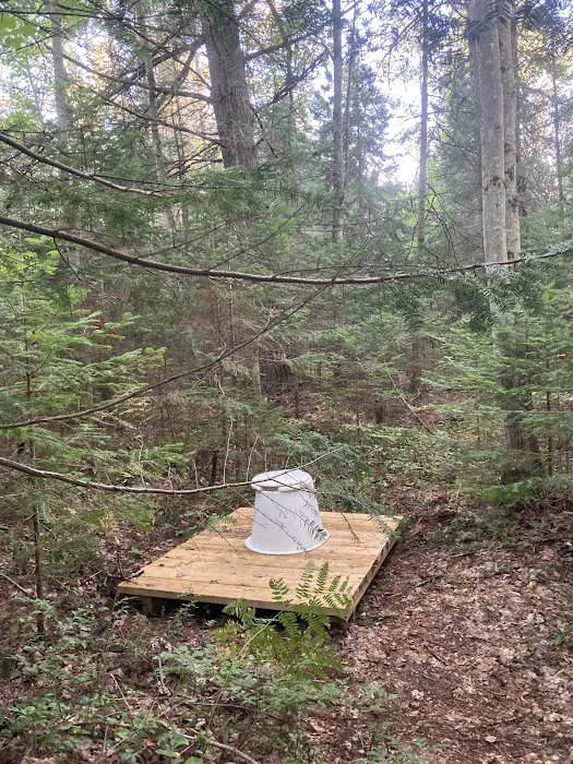 Wilderness State Park Campground Picture 10