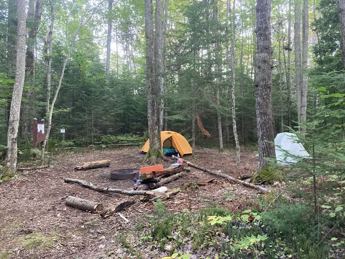 Wilderness State Park Campground Picture 9