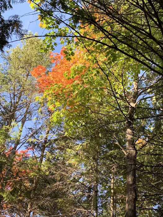 St Ignace KOA Picture 10