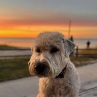 Wilderness State Park Campground ico