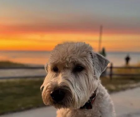 Wilderness State Park Campground