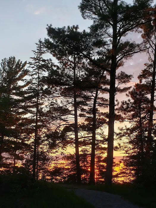 Wilderness State Park Campground Picture 8