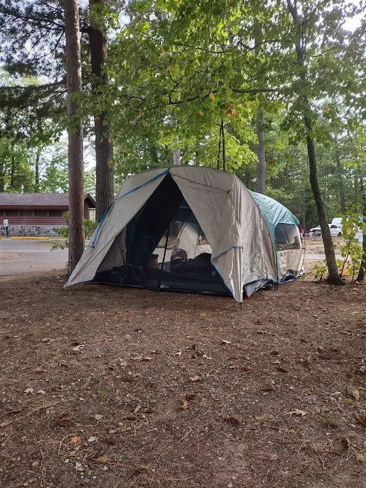 Wilderness State Park Campground Picture 9
