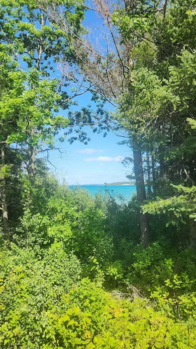 Pintals Wilderness Cabin Picture 3