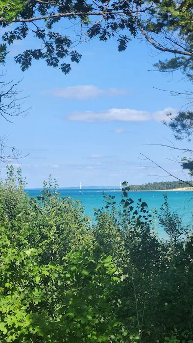 Pintals Wilderness Cabin Picture 2